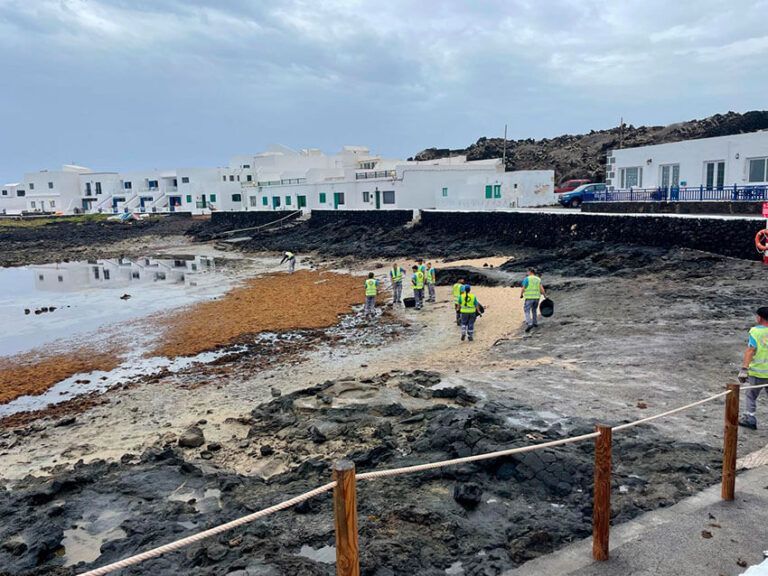 Noticias | El plan Cuidando Lanzarote permite la retirada de más de 60 toneladas de residuos por todo el litoral de la isla