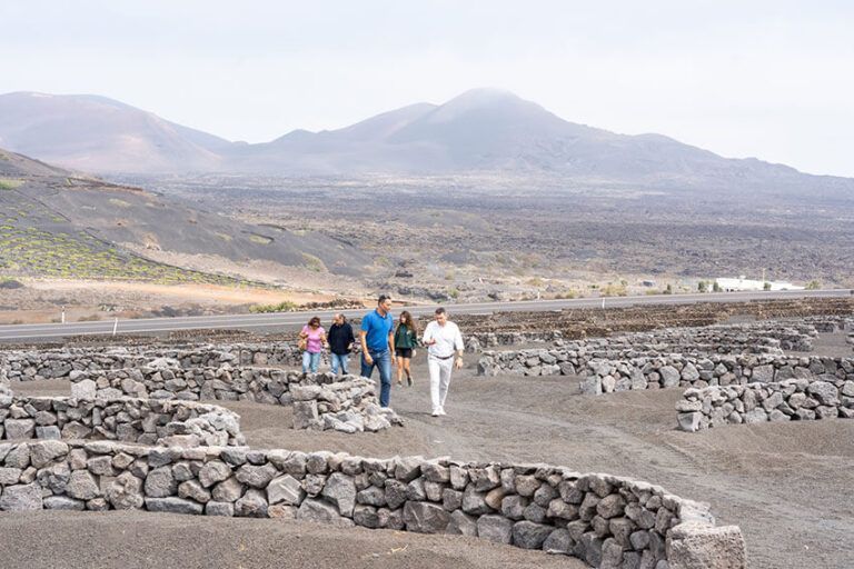 Noticias Yaiza | El Cabildo de Lanzarote continúa impulsando la recuperación de fincas agrícolas en La Geria