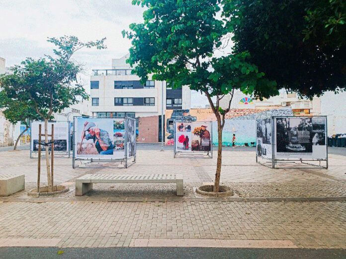 Noticias | ‘Bordar el pasado con el futuro’: una exposición que une generaciones y reflexiona sobre la ternura