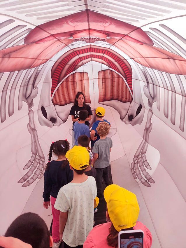 Noticias Yaiza | La exposición itinerante ‘Cetáceos de la Macaronesia’ recala en Las Breñas