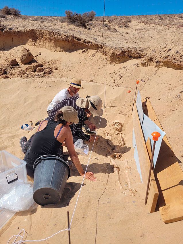 Concluye la quinta campaña de excavaciones en el yacimiento arqueológico del Rubicón