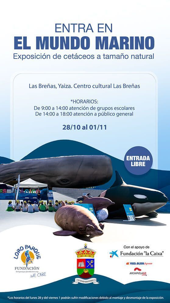 Noticias Yaiza | Yaiza y la Fundación Loro Parque invitan a la exposición ‘Cetáceos de la Macaronesia’