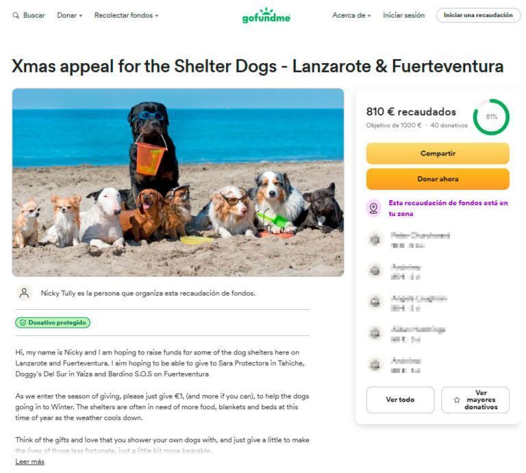 Noticias Playa Blanca | Un vecino de Yaiza lanza una colecta navideña de ayuda a refugios de perros en Lanzarote y Fuerteventura
