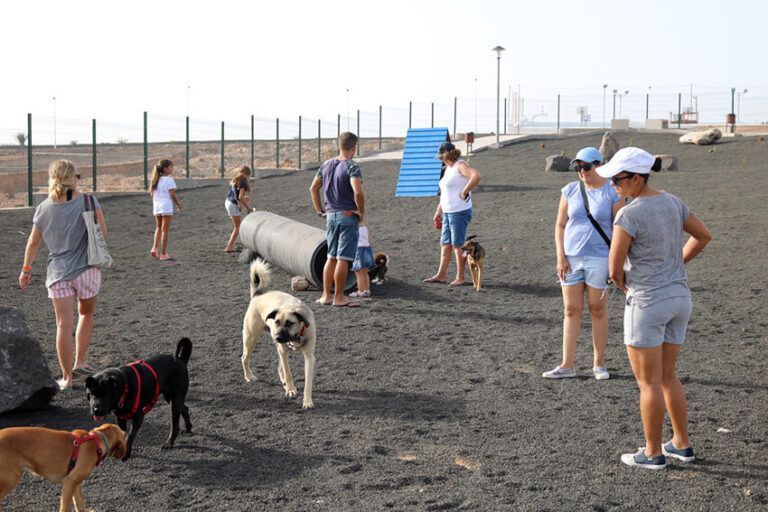 Noticias Yaiza | Yaiza invita el fin de semana a nuevas jornadas de bienestar animal
