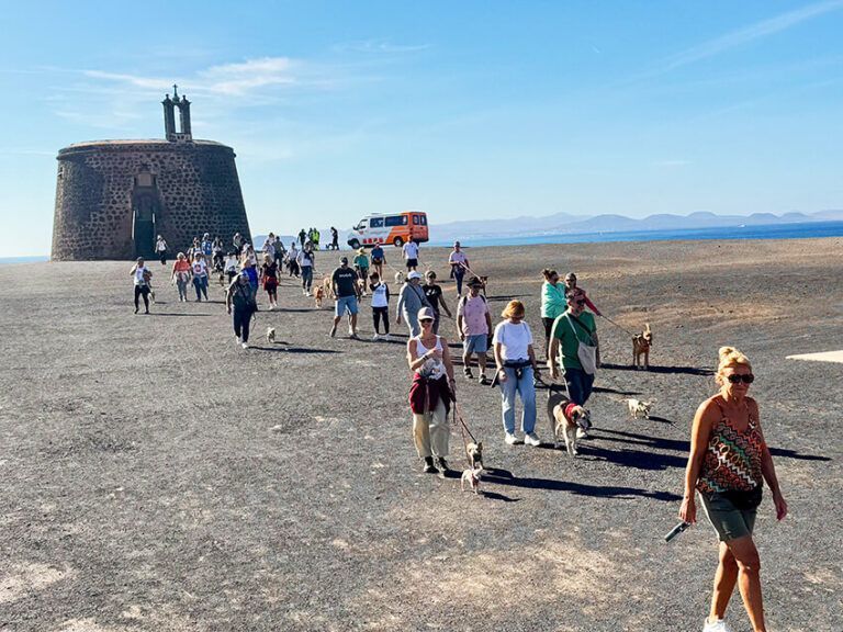 Noticias Playa Blanca | Yaiza continúa con su labor de concienciación sobre bienestar animal