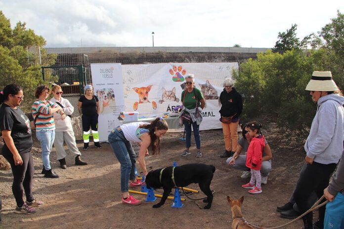 Taller en el albergue Yaiza continúa con su labor de concienciación sobre bienestar animal