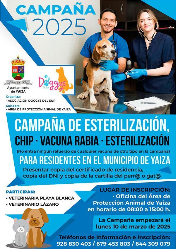 Noticias Yaiza | Yaiza inicia en marzo una nueva campaña de esterilización, identificación con chip y vacunación de rabia para perros y gatos