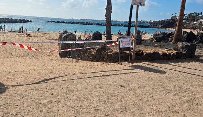 Noticias Playa Blanca | Yaiza prohíbe el baño temporal en Playa Flamingo al detectar Salud Pública bacterias indicadoras de contaminación