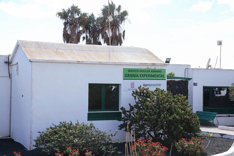 Noticias | El Cabildo impulsa la formación agrícola con nuevos talleres en la Granja Experimental