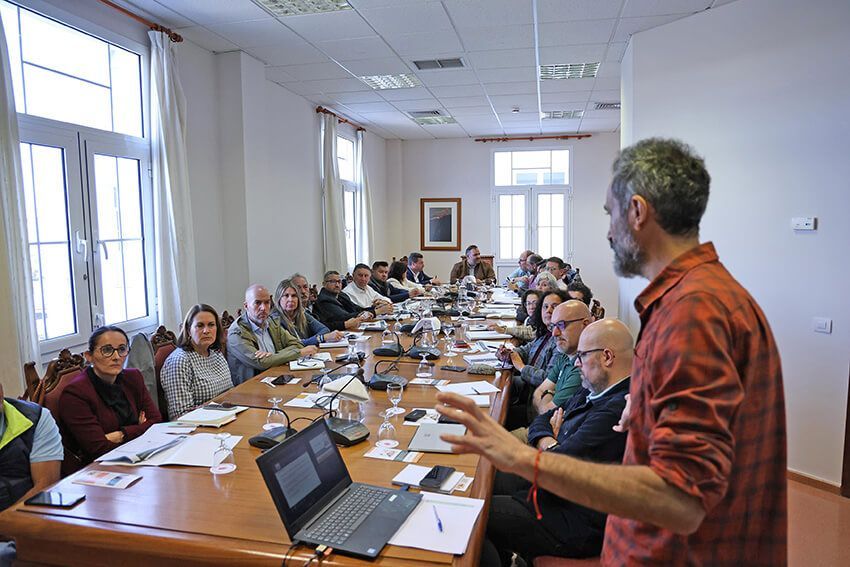 Noticias | Avanza el plan de control para salvar el palmeral lanzaroteño