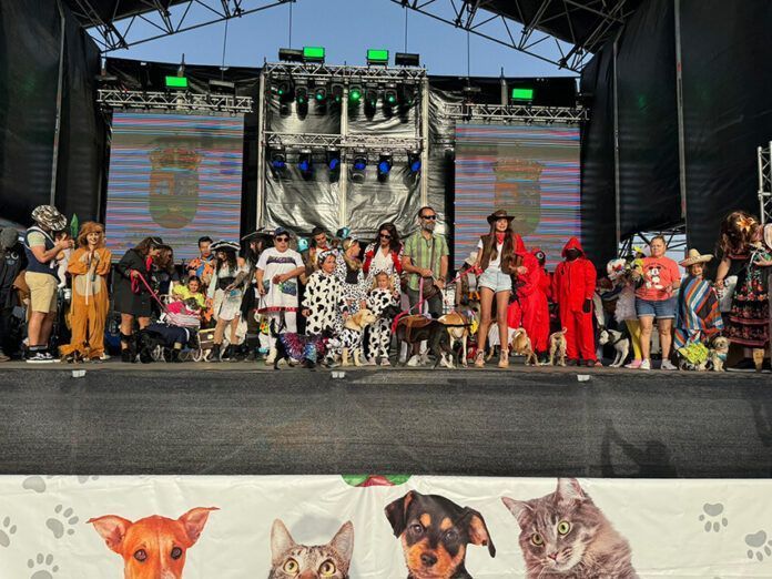 Carnaval canino El “piloto” Lucky vuela alto en Playa Blanca