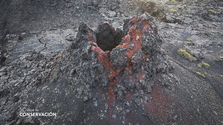 Noticias Yaiza | Estudiantes de Lanzarote visitan los generadores geotérmicos de Timanfaya en la celebración de su 50 aniversario