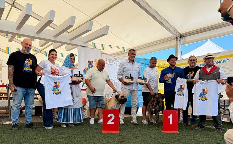 Noticias | La pasión por el Presa Canario se vive en Arrecife
