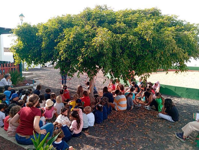 Noticias | Los Colegios de la Biosfera despiden el curso con juegos y talleres colectivos