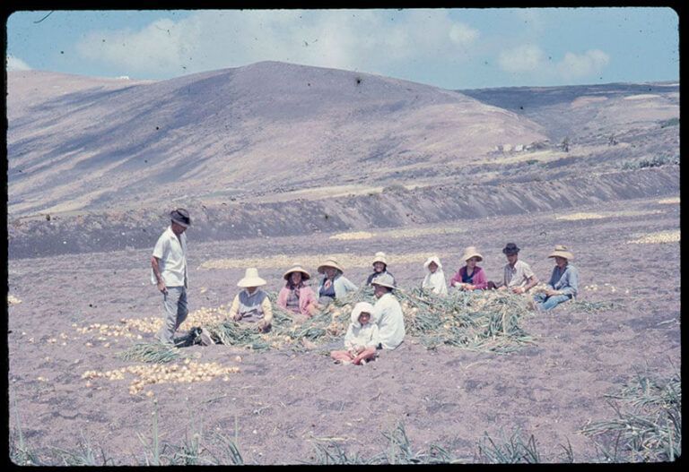 Noticias | El Cabildo y la Agrupación Folclórica Los Campesinos lanzan una campaña para recuperar la memoria rural de Lanzarote