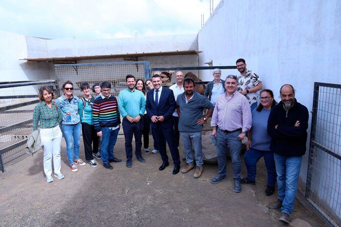 Visita Comisión Europea Explotaciones ganaderas del Vallito de Uga Noticias | Oswaldo Betancort respalda la inclusión de la cabaña camellar en las ayudas agroambientales comunitarias