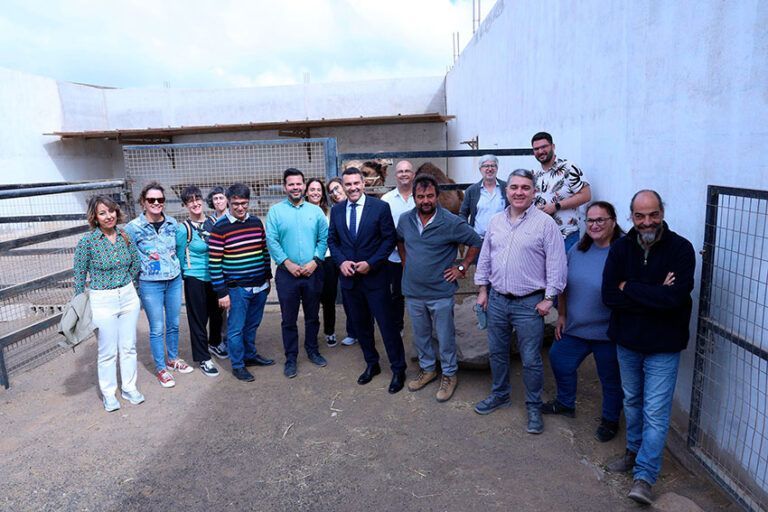Noticias | Oswaldo Betancort respalda la inclusión de la cabaña camellar en las ayudas agroambientales comunitarias