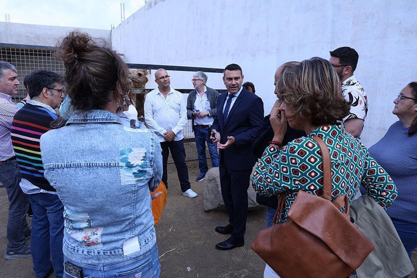 Oswaldo Betancort respalda la inclusión de la cabaña camellar en las ayudas agroambientales comunitarias