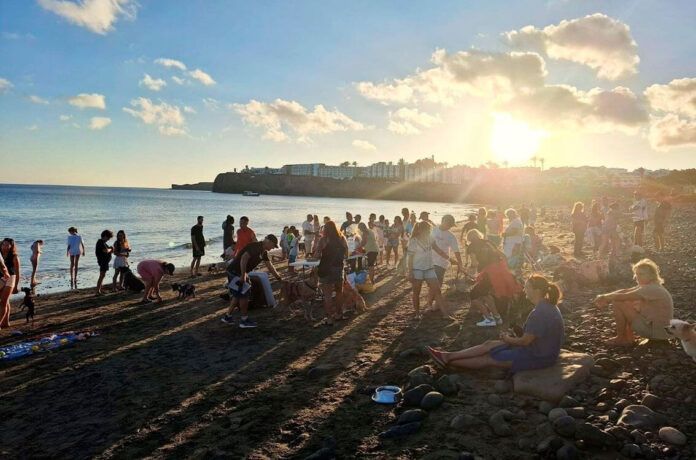 Noticias Playa Blanca | Yaiza realiza una nueva jornada de bienestar animal en la playa de Las Coloradas