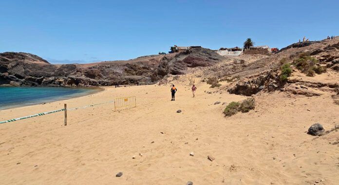 Playa-de-Papagayo-precintada Noticias Playa Blanca | Yaiza anuncia que la Playa de Papagayo permanecerá cerrada al menos hasta el lunes