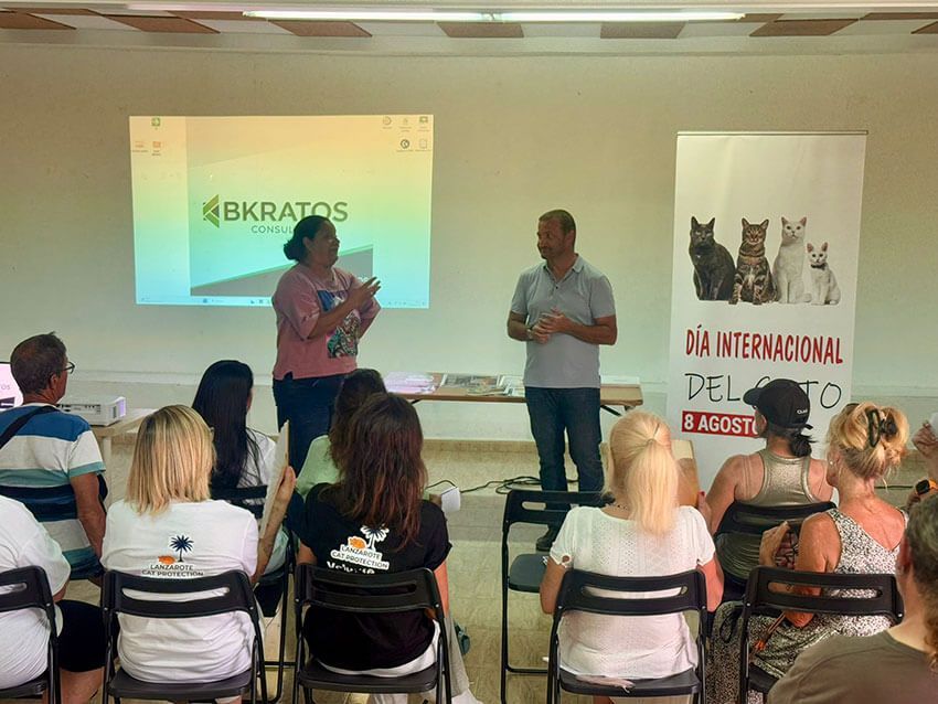Noticias Yaiza | Yaiza celebra el Día Internacional del Gato con una jornada de sensibilización