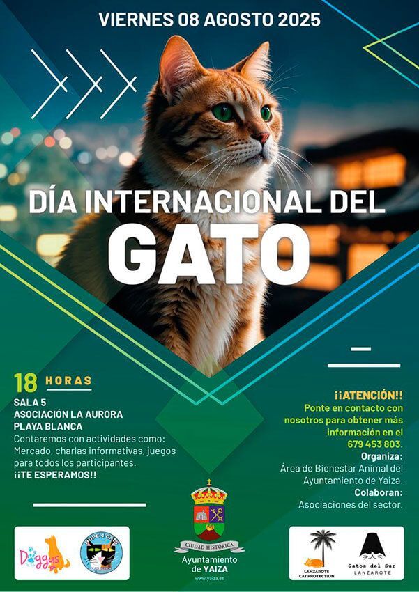 Noticias Playa Blanca | Playa Blanca celebra este viernes, 8 de agosto, el Día Internacional del Gato