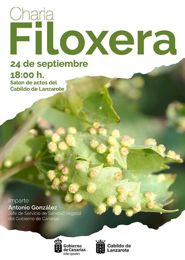 Noticias | El Cabildo organiza una charla informativa sobre la filoxera dirigida al sector agrícola, vitivinícola y bodeguero