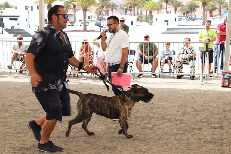 Noticias Yaiza | Yaiza promueve el conocimiento del presa canario