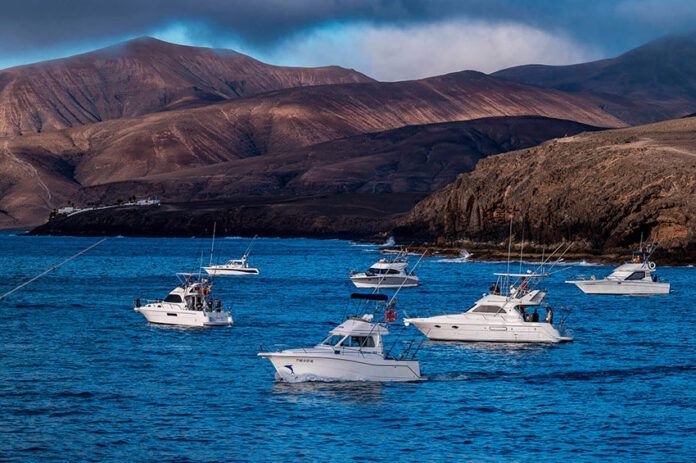 Noticias Yaiza | Puerto Calero celebra la XXXII Marlin Cup, único torneo en España con pase al Mundial