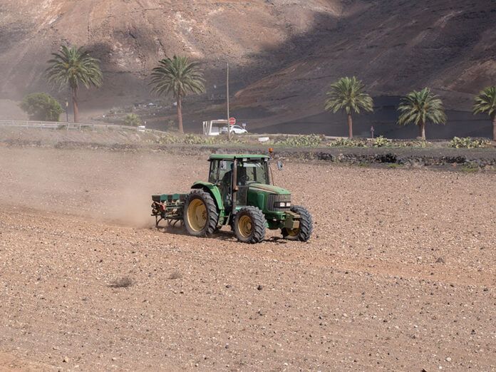 Campaña de siembra Noticias | Lanzarote inicia la campaña de siembra para favorecer la supervivencia de las especies cinegéticas