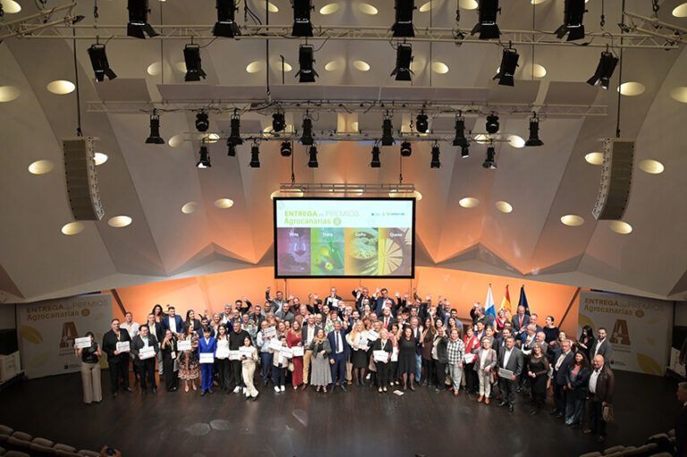Noticias | El Cabildo pone en valor el talento lanzaroteño en los Concursos Oficiales Agrocanarias 2025