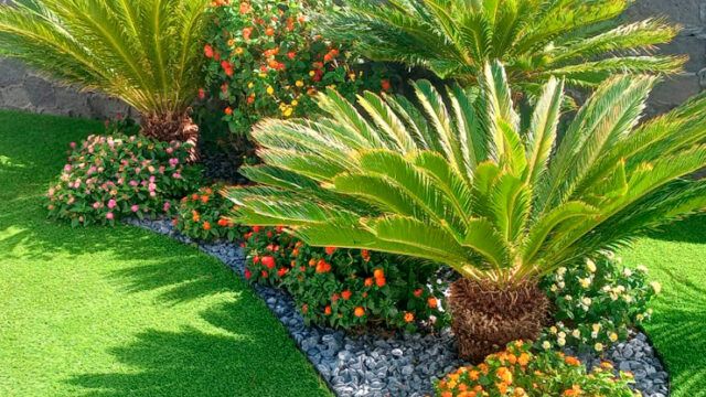 Jardín Mandrágora Garden