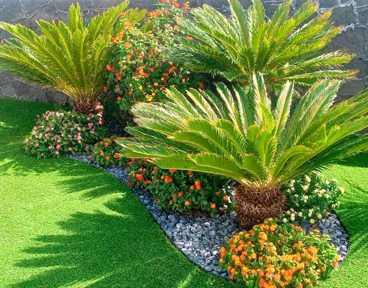 Jardín Mandrágora Garden