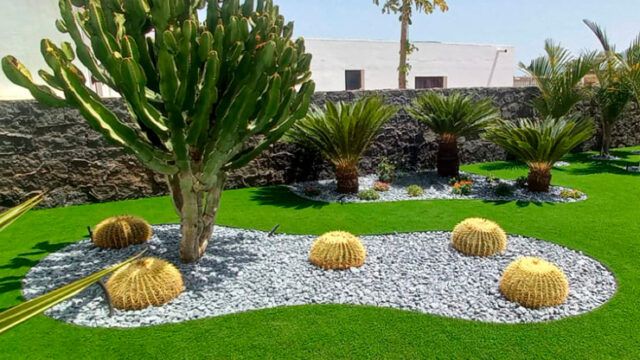 Jardín Mandrágora Garden
