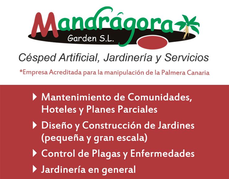 Mandrágora Garden