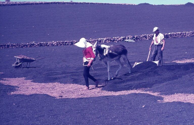 Noticias | Un recorrido visual por el amor en Lanzarote será el tema de la próxima conferencia de Memoria de los Jueves