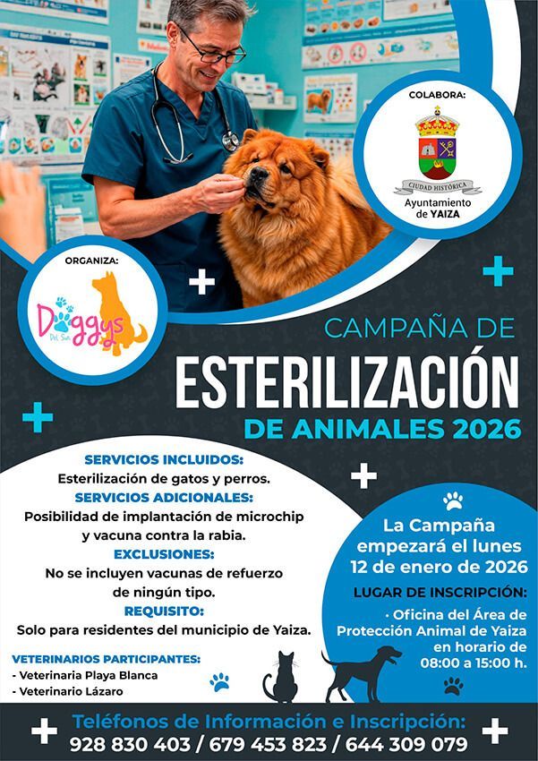 Noticias Yaiza | Doggys del Sur pone en marcha una nueva campaña de esterilización de perros y gatos en Yaiza