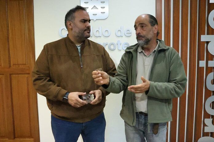 Noticias | El Cabildo mantiene activo el seguimiento técnico tras la llegada de un enjambre de langosta sahariana a la isla
