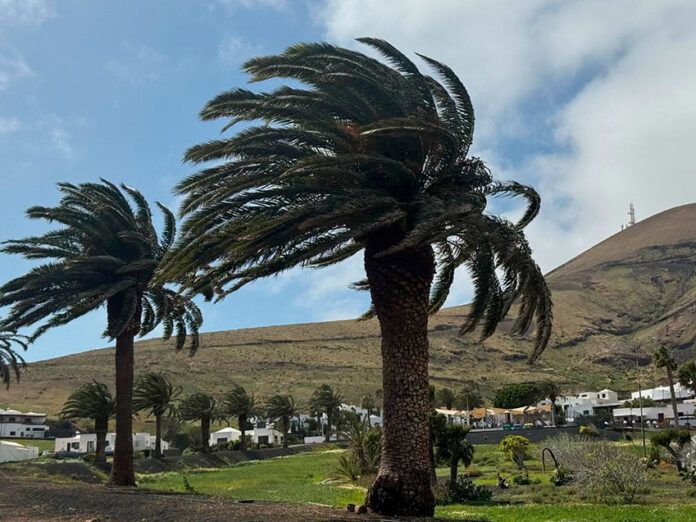 Noticias | Nuevo aviso amarillo en Lanzarote, a partir de esta tarde, por viento y fenómenos costeros