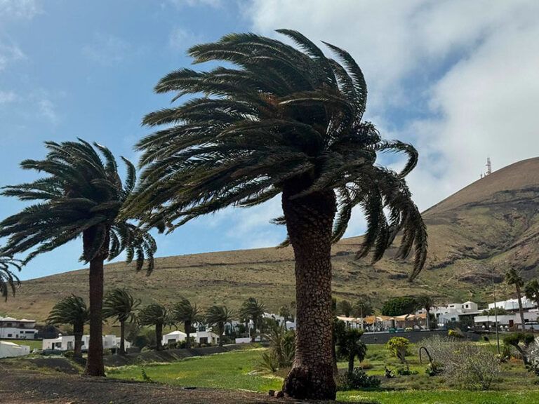 Noticias | Nuevo aviso amarillo en Lanzarote, a partir de esta tarde, por viento y fenómenos costeros