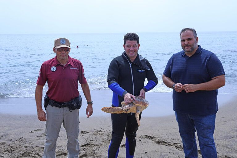El Cabildo integra el Servicio de Rescate de Fauna Accidentada en el Área de Medio Ambiente a partir del 1 de abril