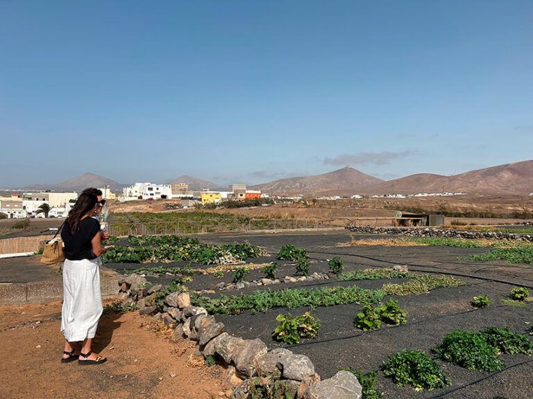 Noticias | El Cabildo aprueba un convenio con la Asociación La Vida es Zuaina para impulsar proyectos sociales y agrícolas en el CBAL