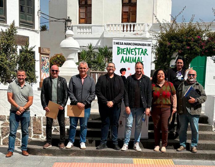 Noticias | Haría celebra la primera reunión de la Mesa Mancomunada de Bienestar Animal