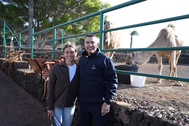 Noticias | El Cabildo continúa con su respaldo incuestionable y necesario al sector camellar
