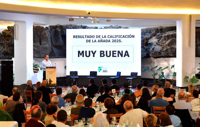 Noticias Yaiza | La añada 2025 de Vinos de Lanzarote confirma la calidad de una de las cosechas más cortas de los últimos años