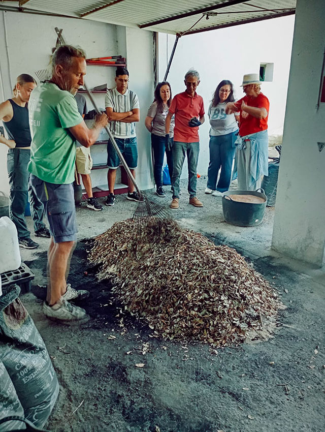 Taller de introducción a la agricultura regenerativa