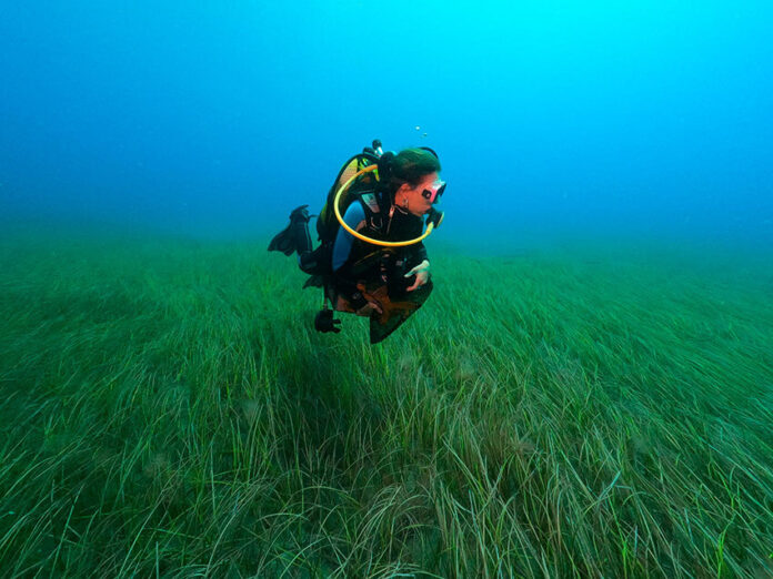 El director de ECOAQUA advierte de las “graves consecuencias” de los vertidos de las aguas residuales y las salmueras para la biodiversidad marina