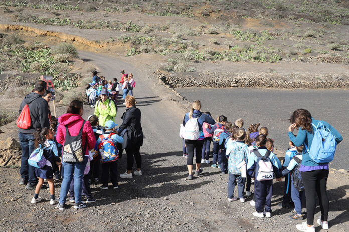 Noticias | Más de 3000 escolares de Lanzarote participan en el programa institucional de Senderos Educativos