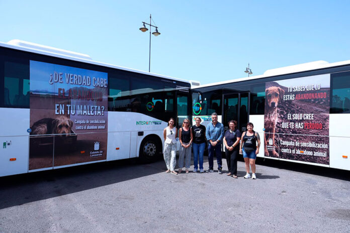 CAMPAÑA-CONTRA-EL-ABANDONO-ANIMAL--(3) Noticias | Bienestar Animal activa una campaña en las guaguas contra el abandono de perros
