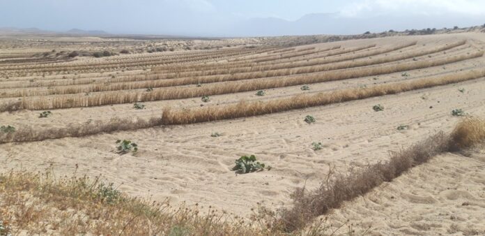 CONSORCIO AGUA 150.000 EUROS EN AYUDAS Noticias | El Consorcio del Agua concede 150.000 euros en ayudas para reducir el coste del agua al sector primario